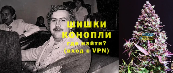 ПСИЛОЦИБИНОВЫЕ ГРИБЫ Абаза