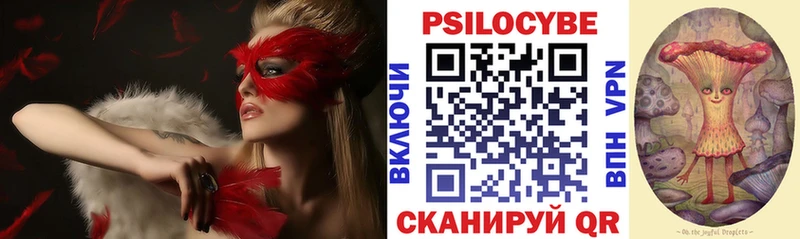 KRAKEN маркетплейс  Петров Вал  Псилоцибиновые грибы мицелий 